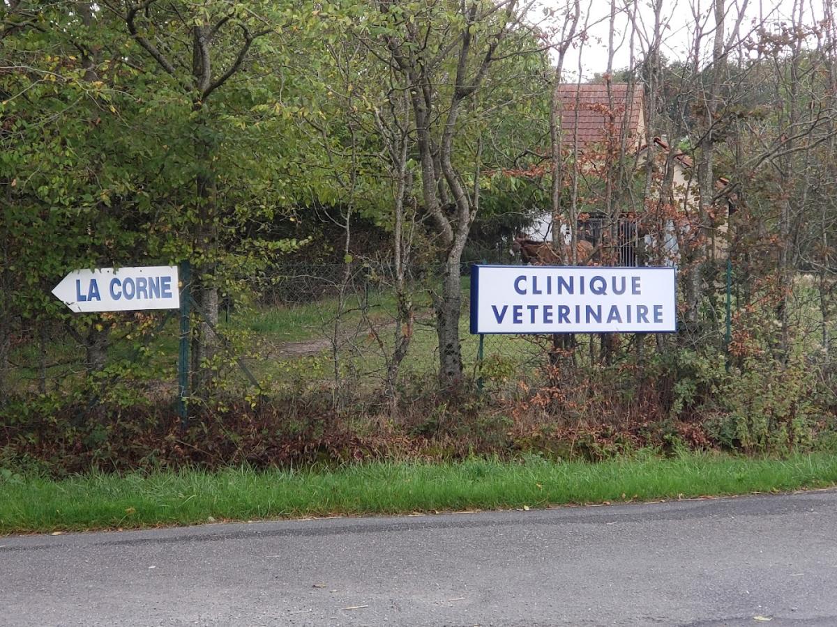 Clinique Vétérinaire Wyndaele