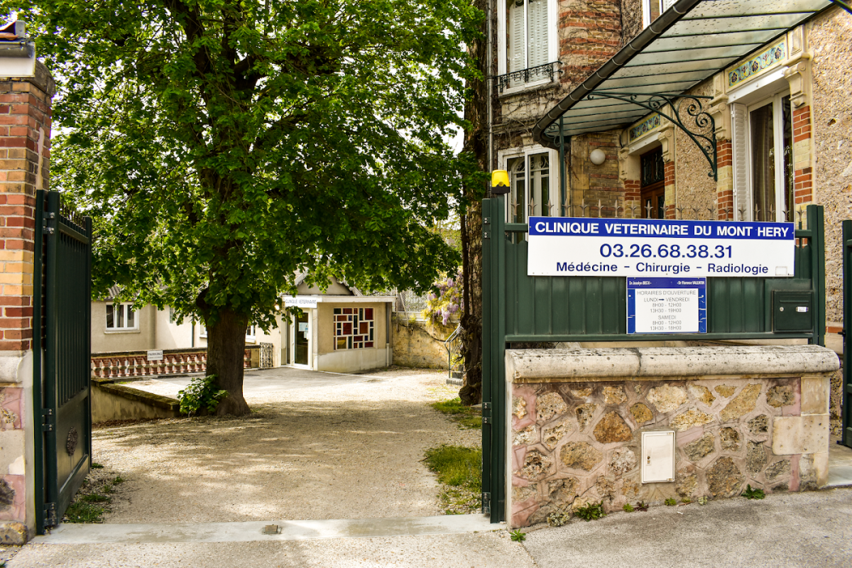 Clinique Vétérinaire Mont Héry