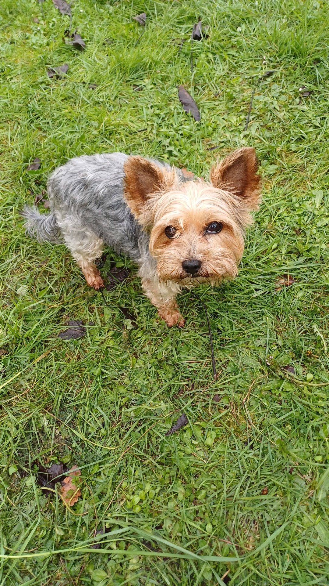 Clinique Vétérinaire Pineuilh Les Rives de Dordogne