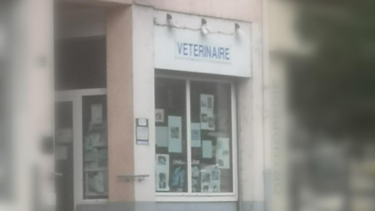 Cabinet vétérinaire du marché