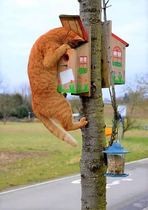 Lagrèze René-Pierre