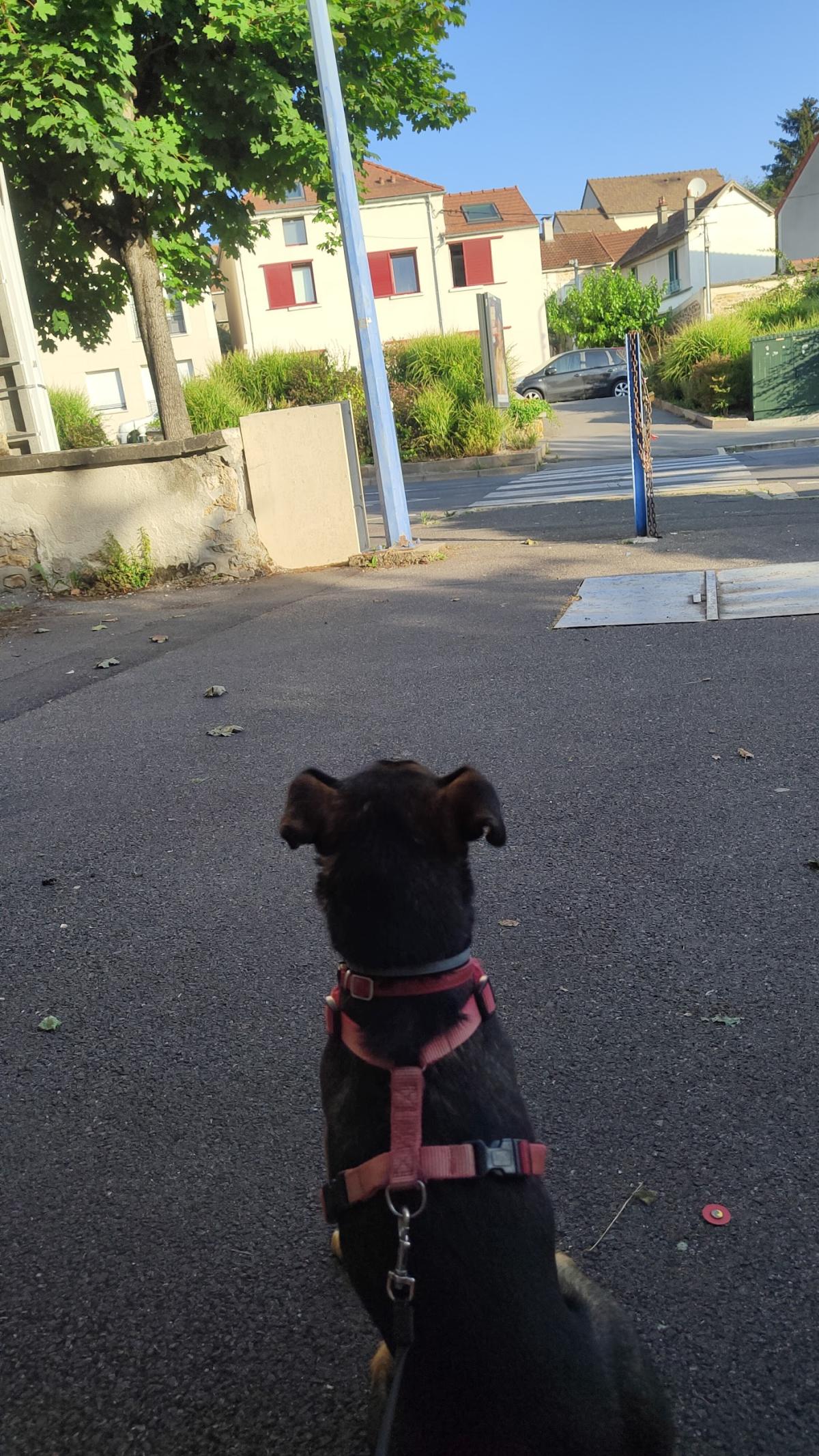 Cabinet Vétérinaire du Docteur Roux Arnaud