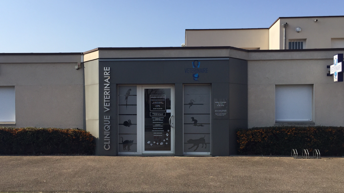 Clinique Vétérinaire des Milles et "sans" Pattes