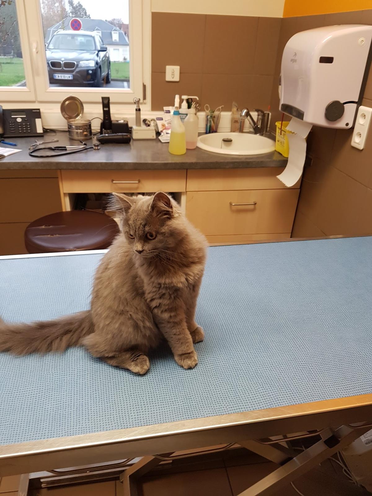 Clinique Vétérinaire Lambert Degimbe