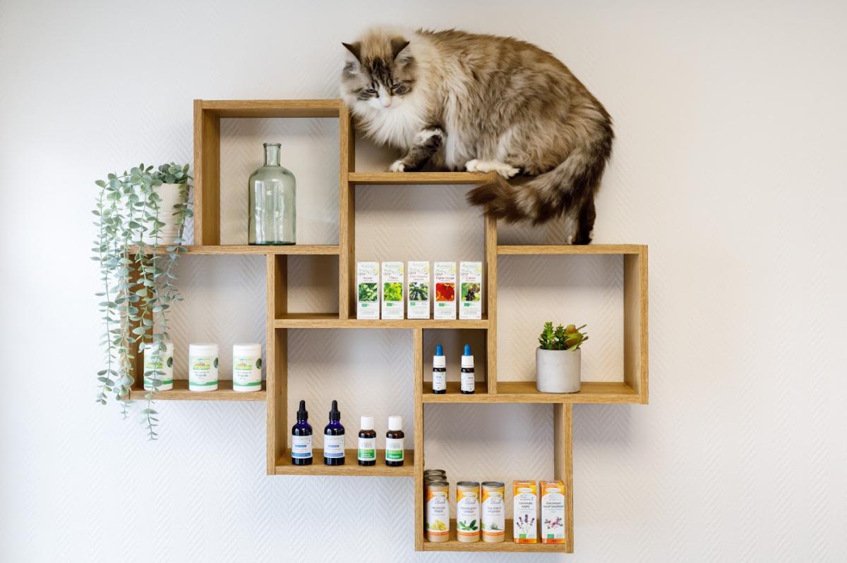 Bio'Vet Saint Martin de Seignanx