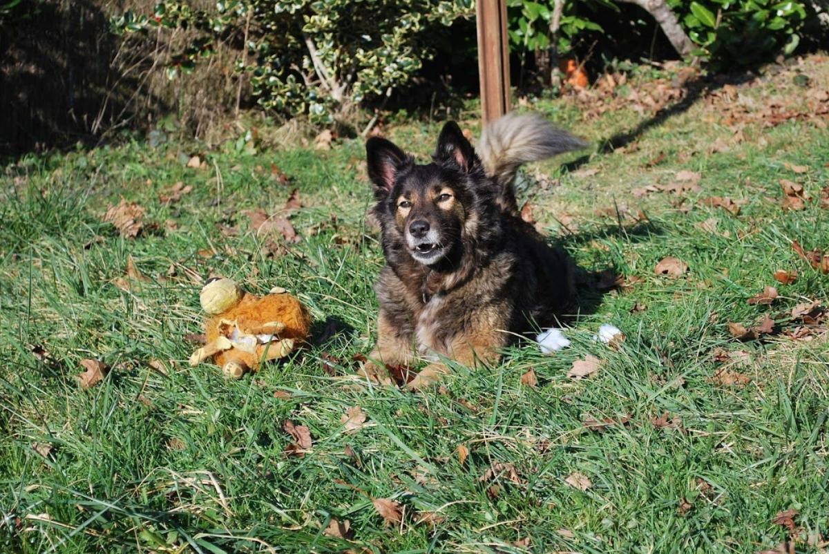Cabinet Vétérinaires des Bastides
