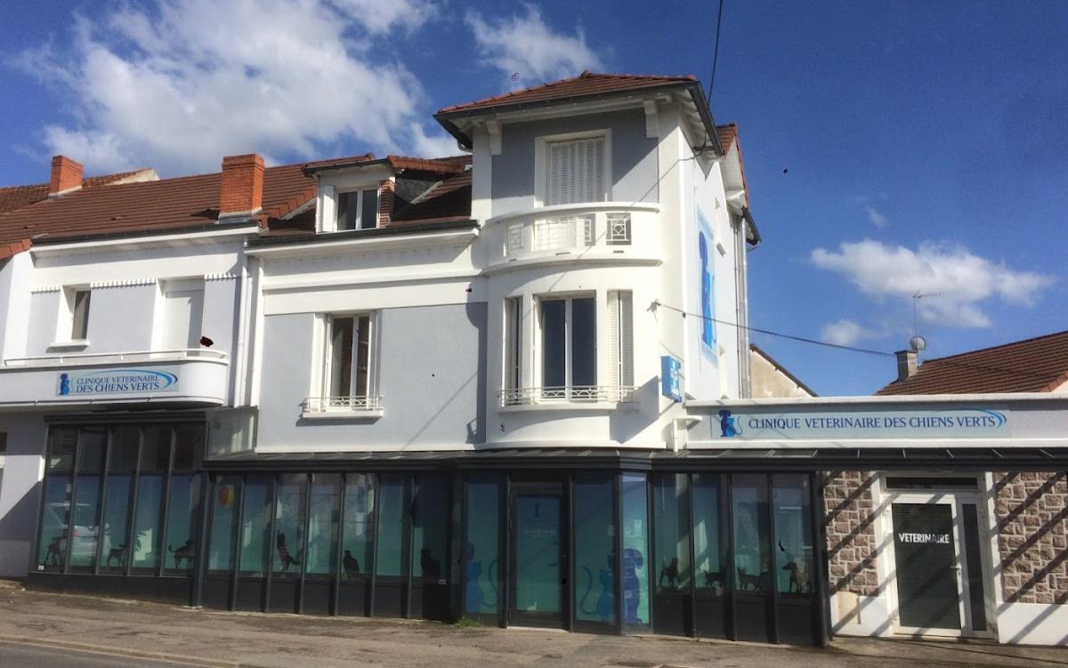 Cabinet Vétérinaire Des Chiens Verts