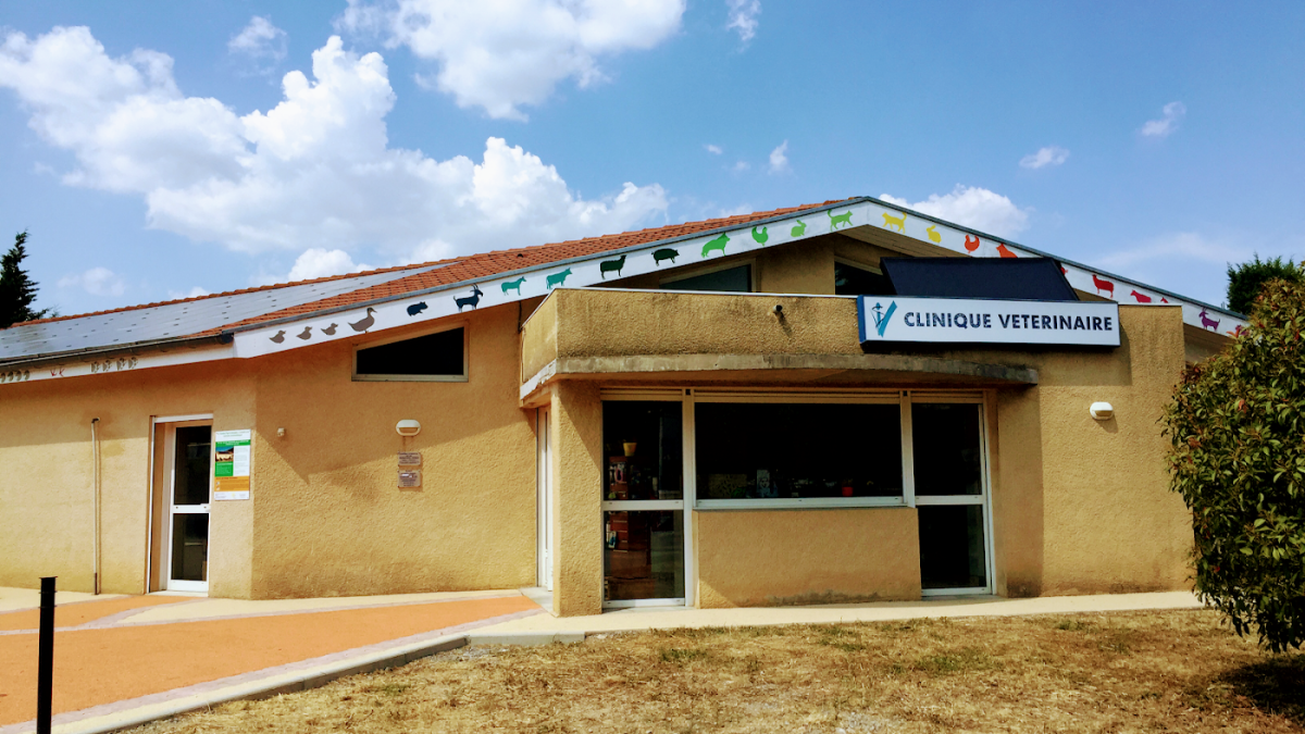 Clinique Vétérinaire du Lac