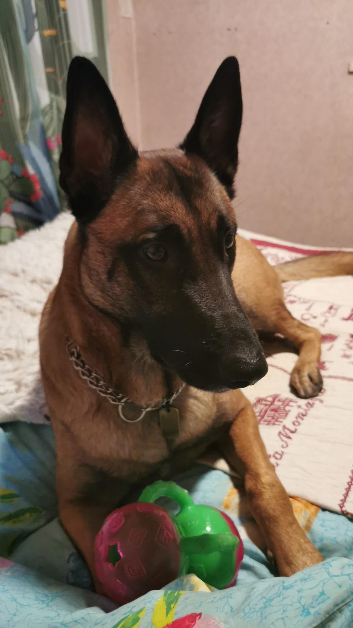 Cabinet vétérinaire