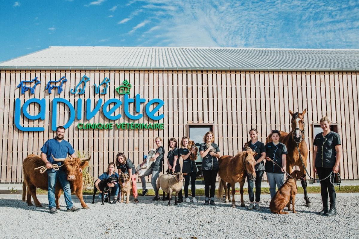 Clinique Vétérinaire La Divette