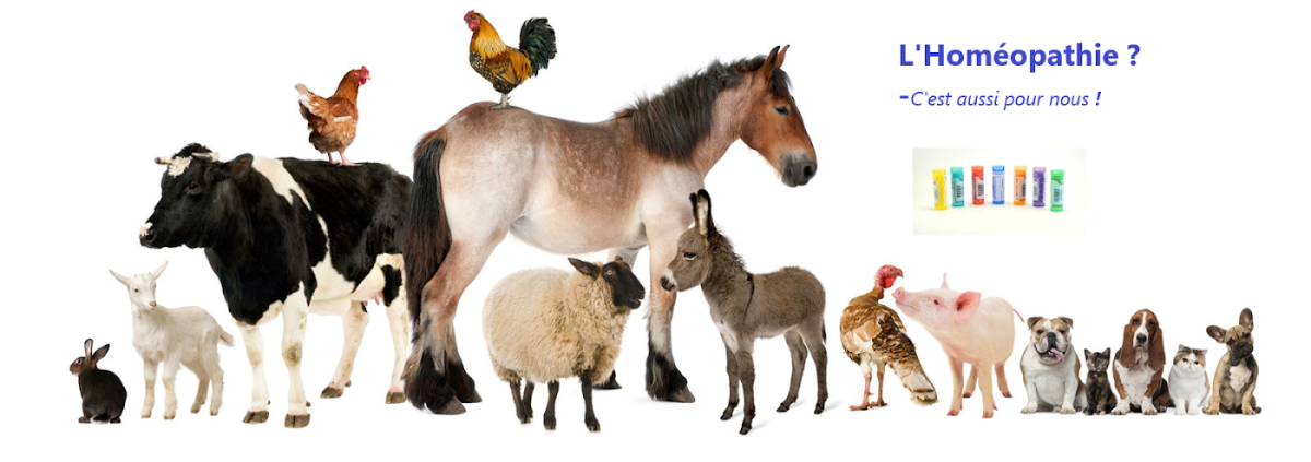 Alain DUPORT, vétérinaire homéopathe uniciste