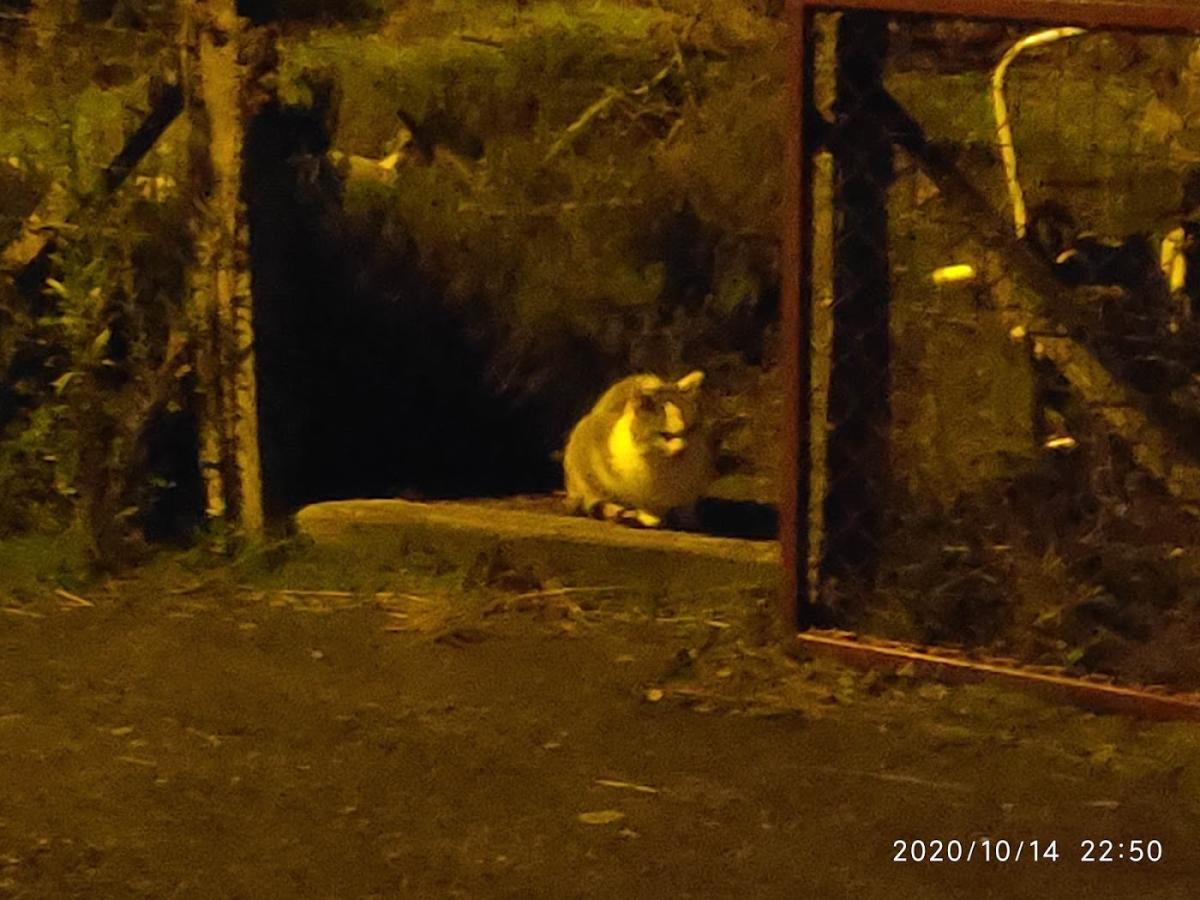 Clinique Veterinaire