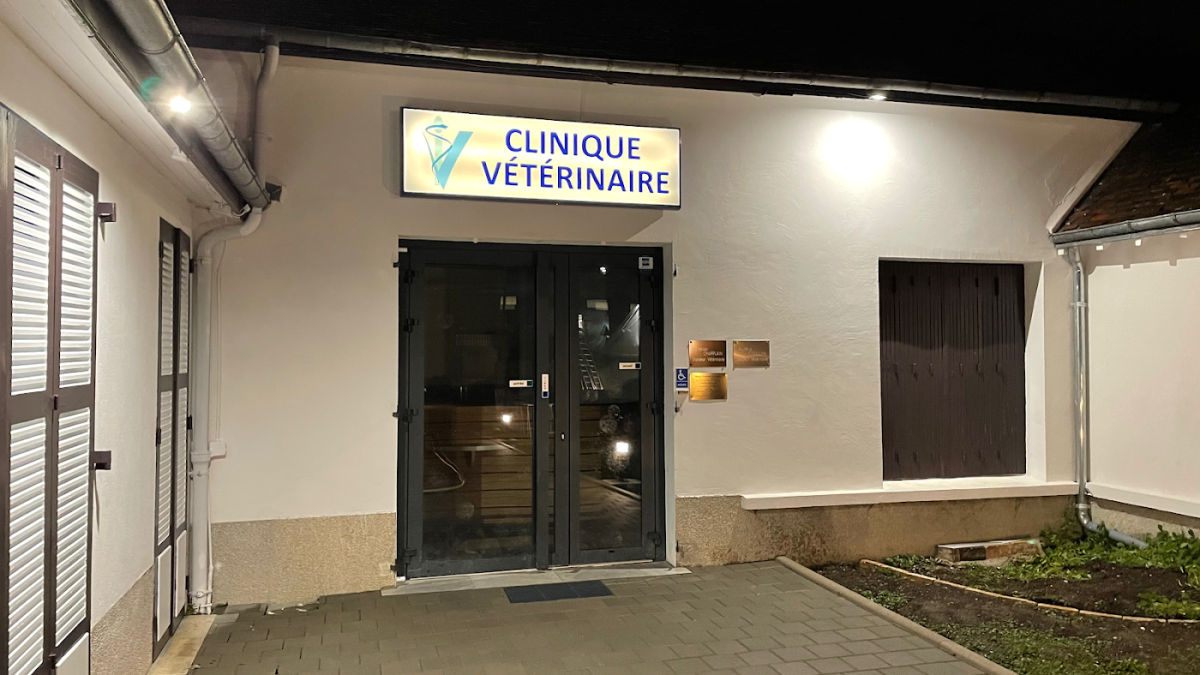 Baumgarte Aude , Charles Chapplain et Collin Aurélia