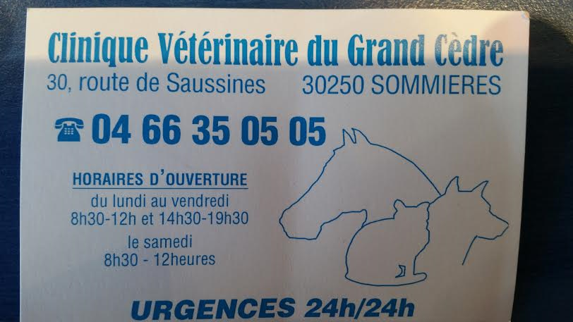 Clinique Vétérinaire du Grand Cèdre Sommières