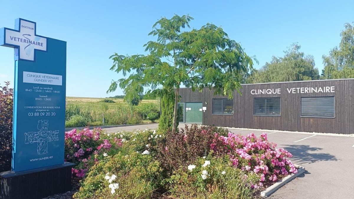 Clinique vétérinaire Gunder Vet