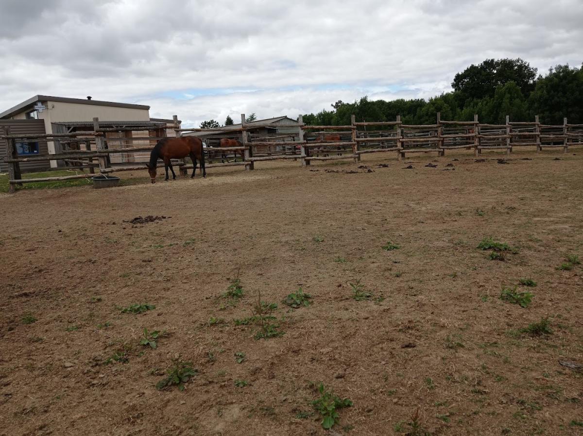 Groupe Vétérinaire de Broceliande - Mauron