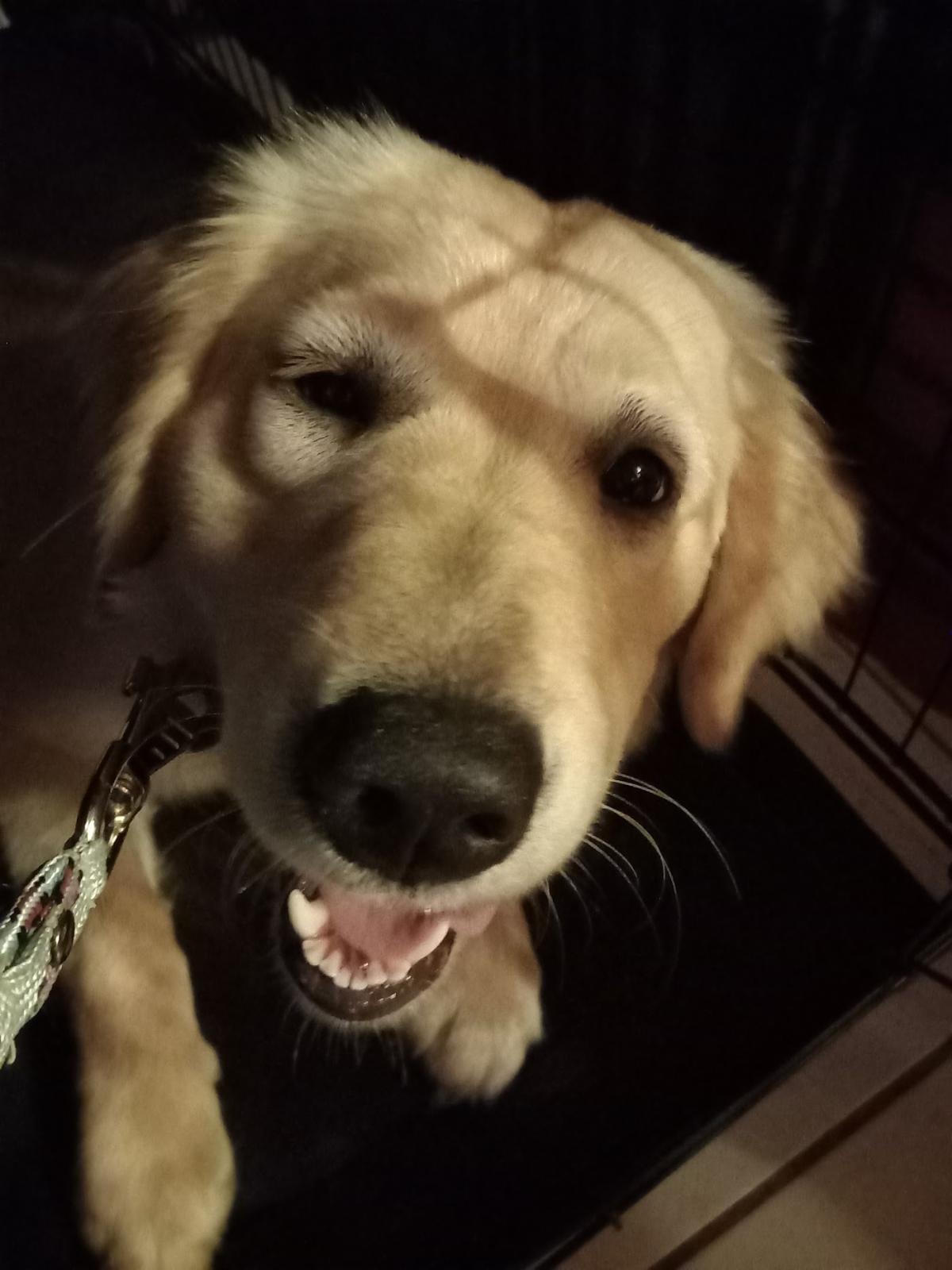 Clinique vétérinaire de Bois Vert