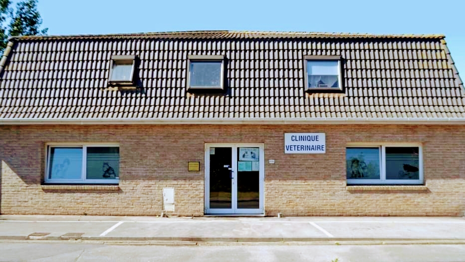 Clinique Vétérinaire Grande Synthe