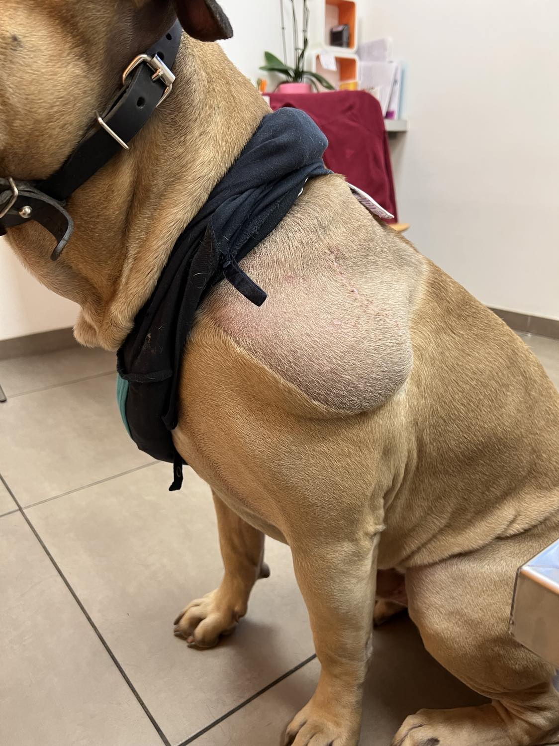 Clinique Michel Baron