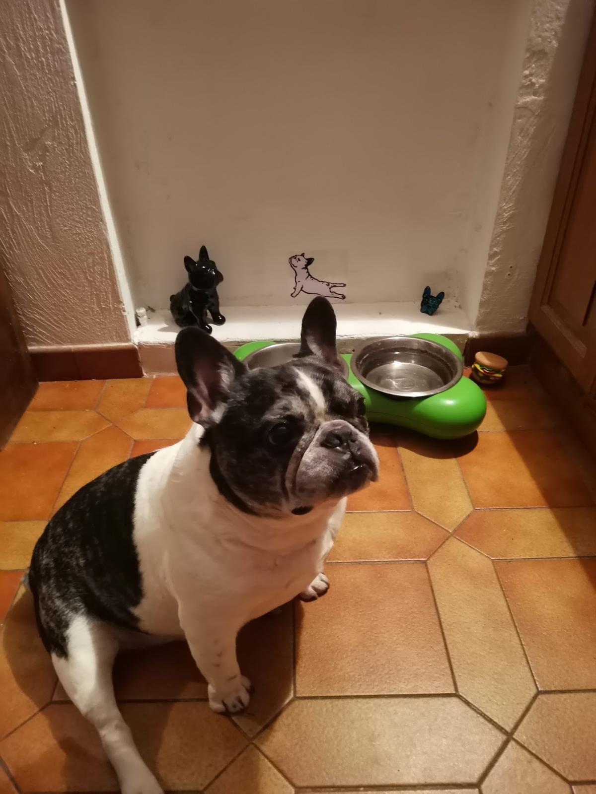 Clinique Vétérinaire de Tournamy