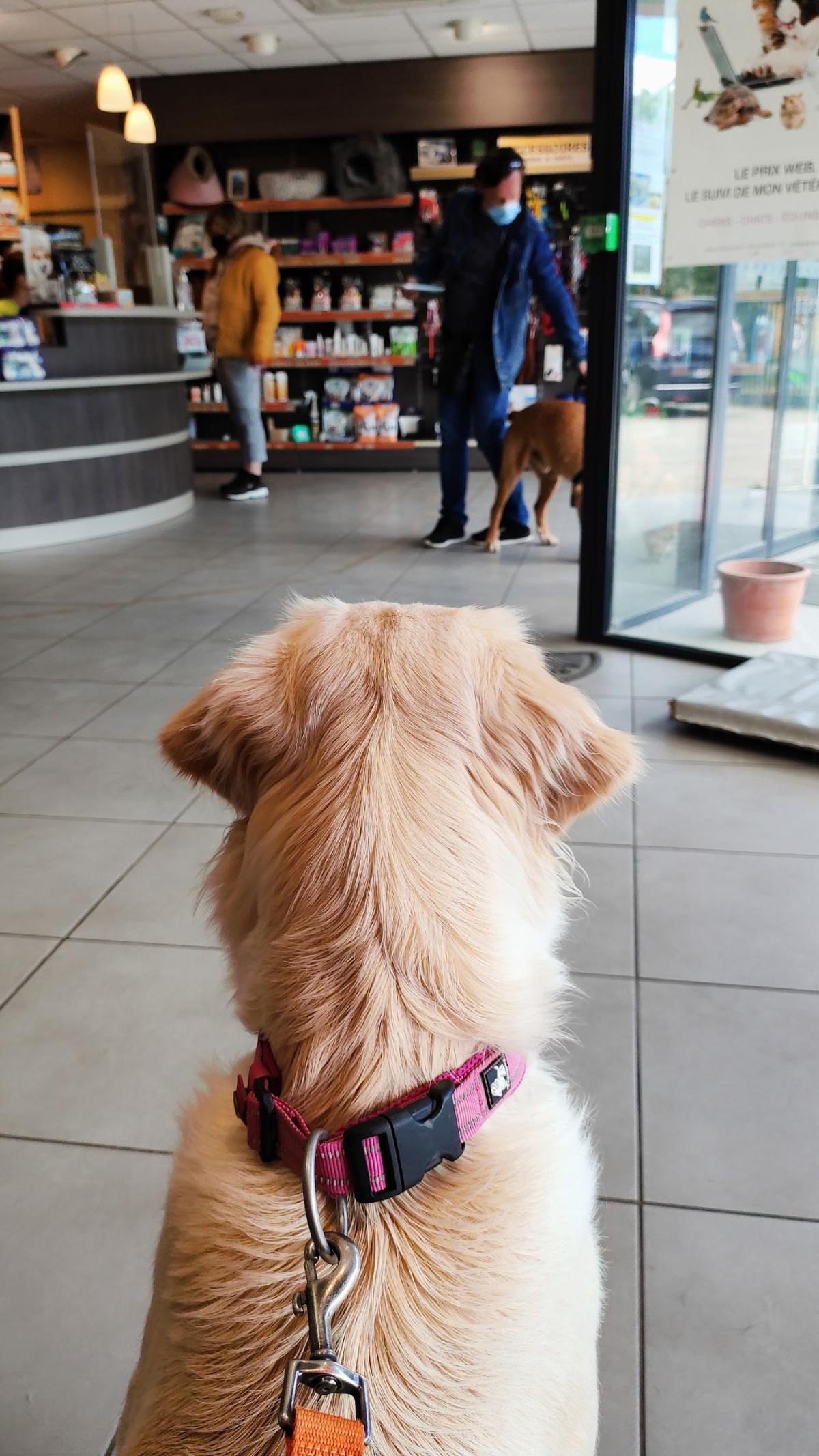 Clinique Vétérinaire à Chabeuil