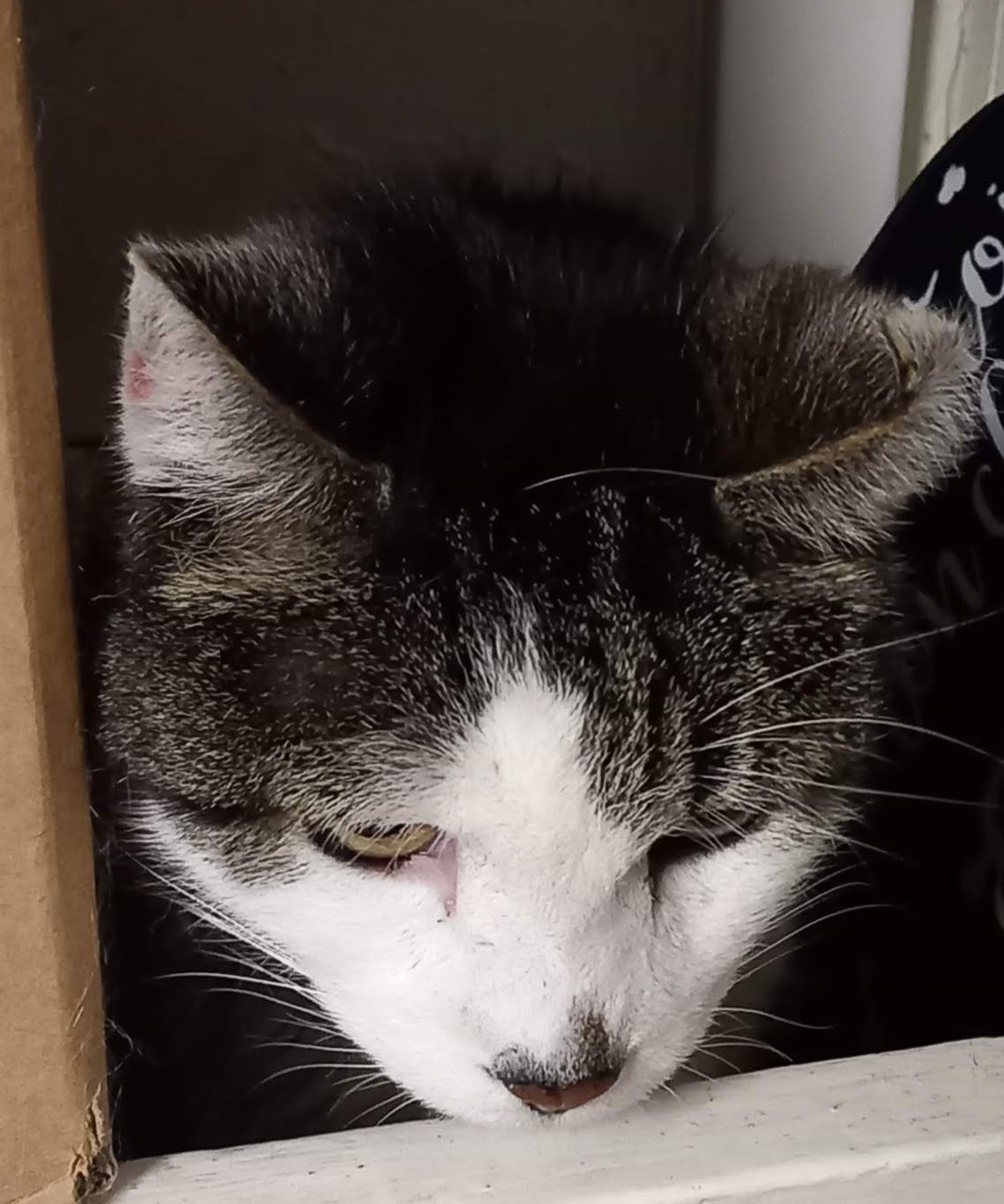 Cabinet médico-chirurgical de Chanzy