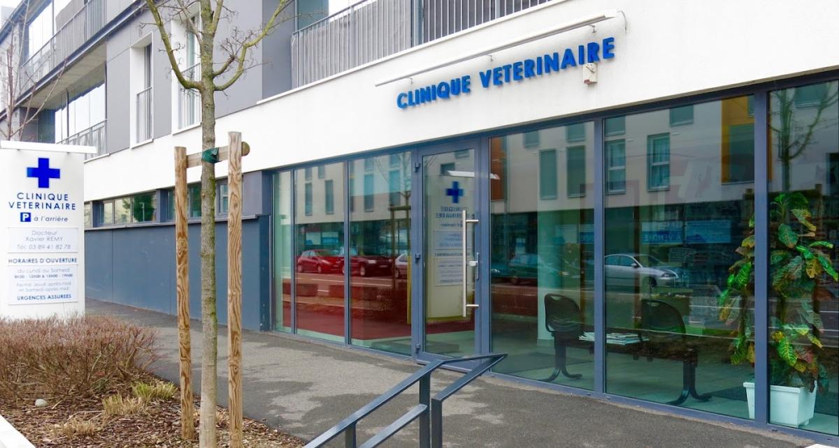 Clinique Vétérinaire de l'Orangerie - Dr REMY et MILLERIOUX