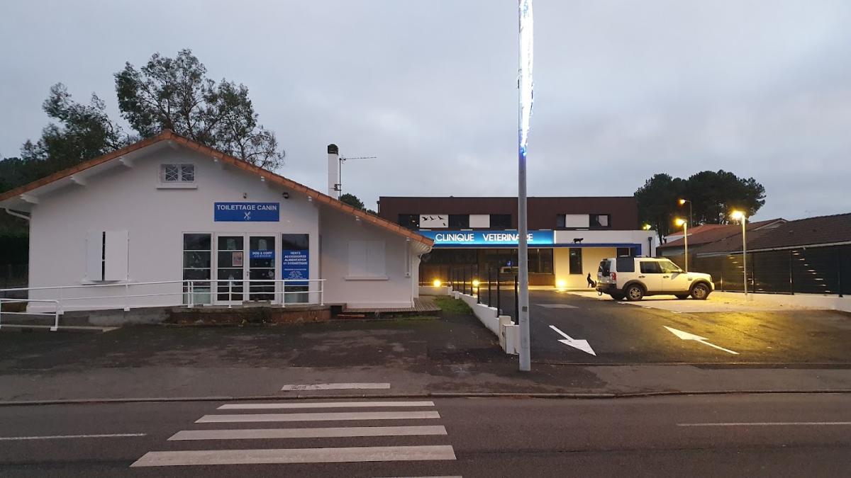 SELARL DE VETERINAIRES DES DUNES - DOCTEUR DECHENNE DOCTEUR LECOURT