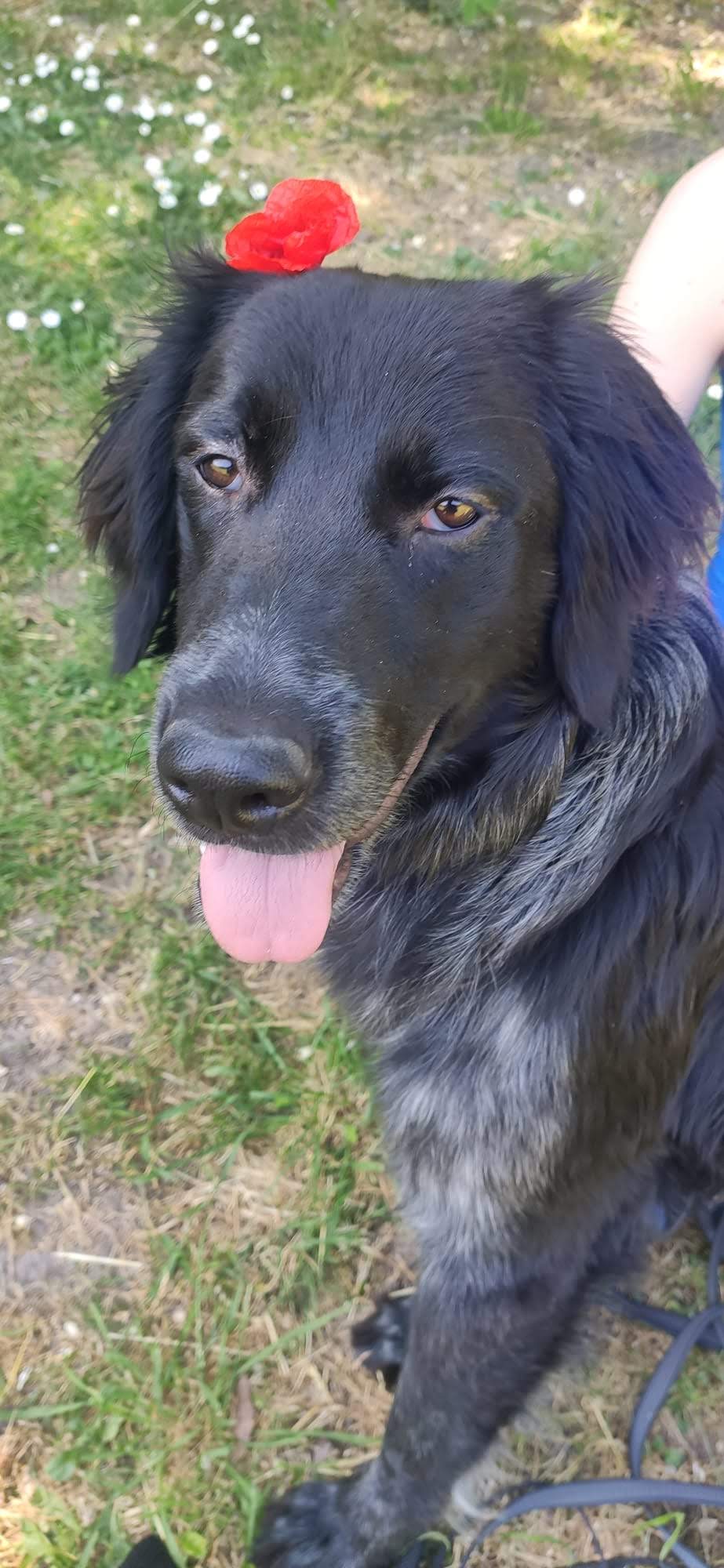 Cabinet Vétérinaire du Docteur Nodiot