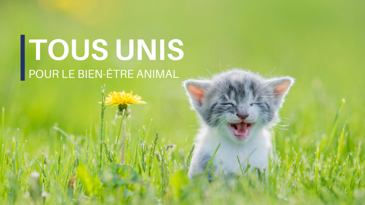 Clinique Vétérinaire Univet Chalon-sur-Saône