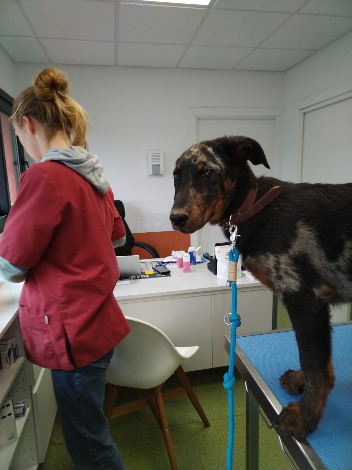 Clinique Vétérinaire de Thenon