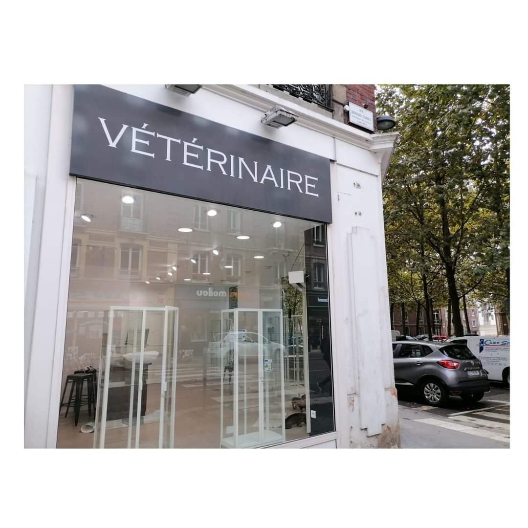 Cabinet Vétérinaire Armand Carrel