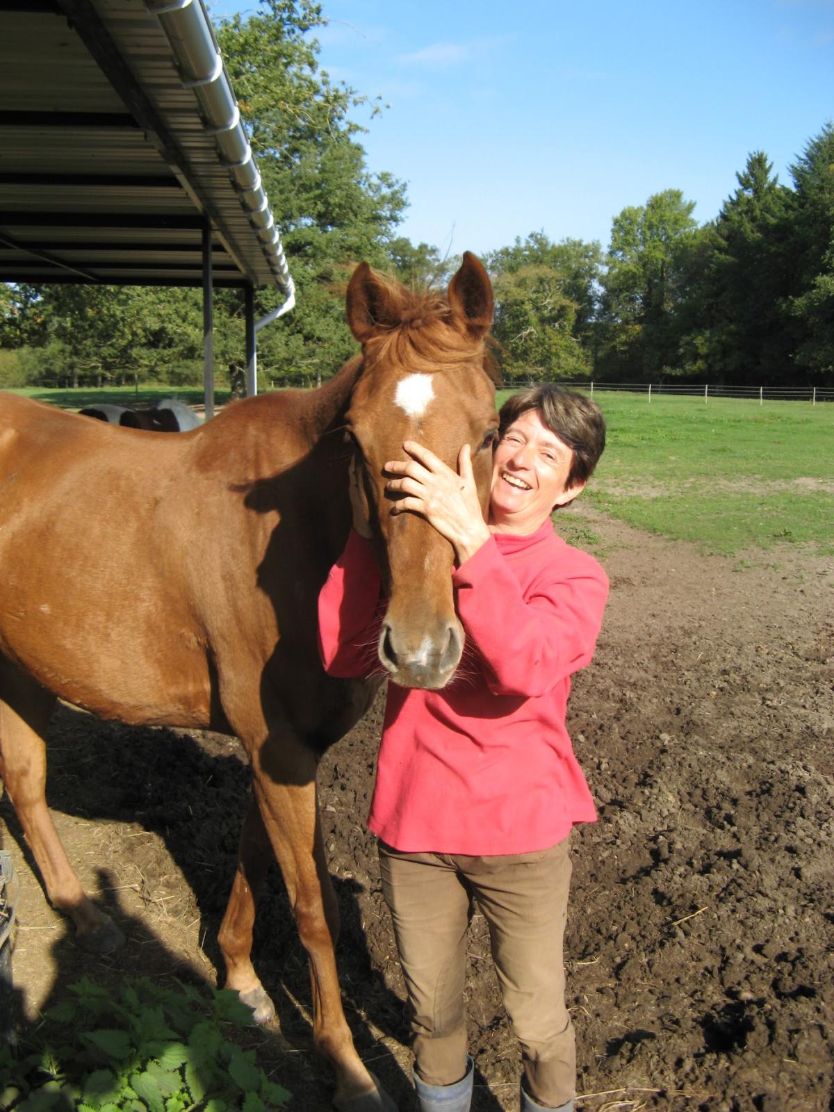 Pioche Marie-Noëlle