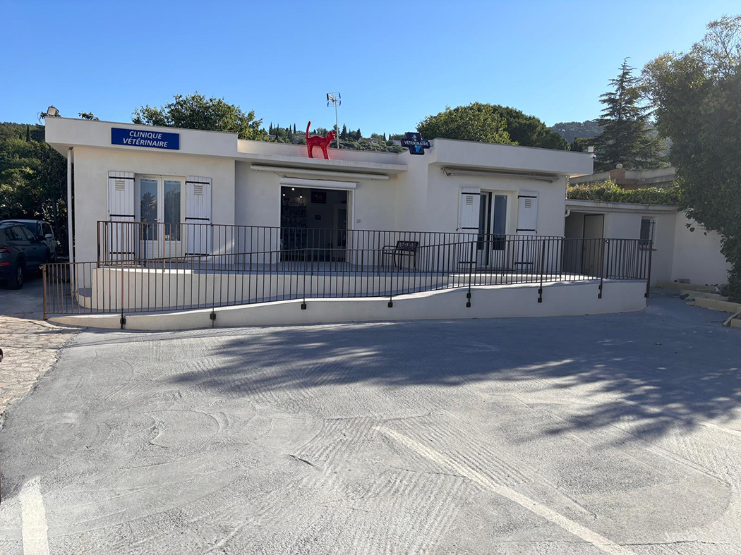 Clinique Vétérinaire du chat qui danse