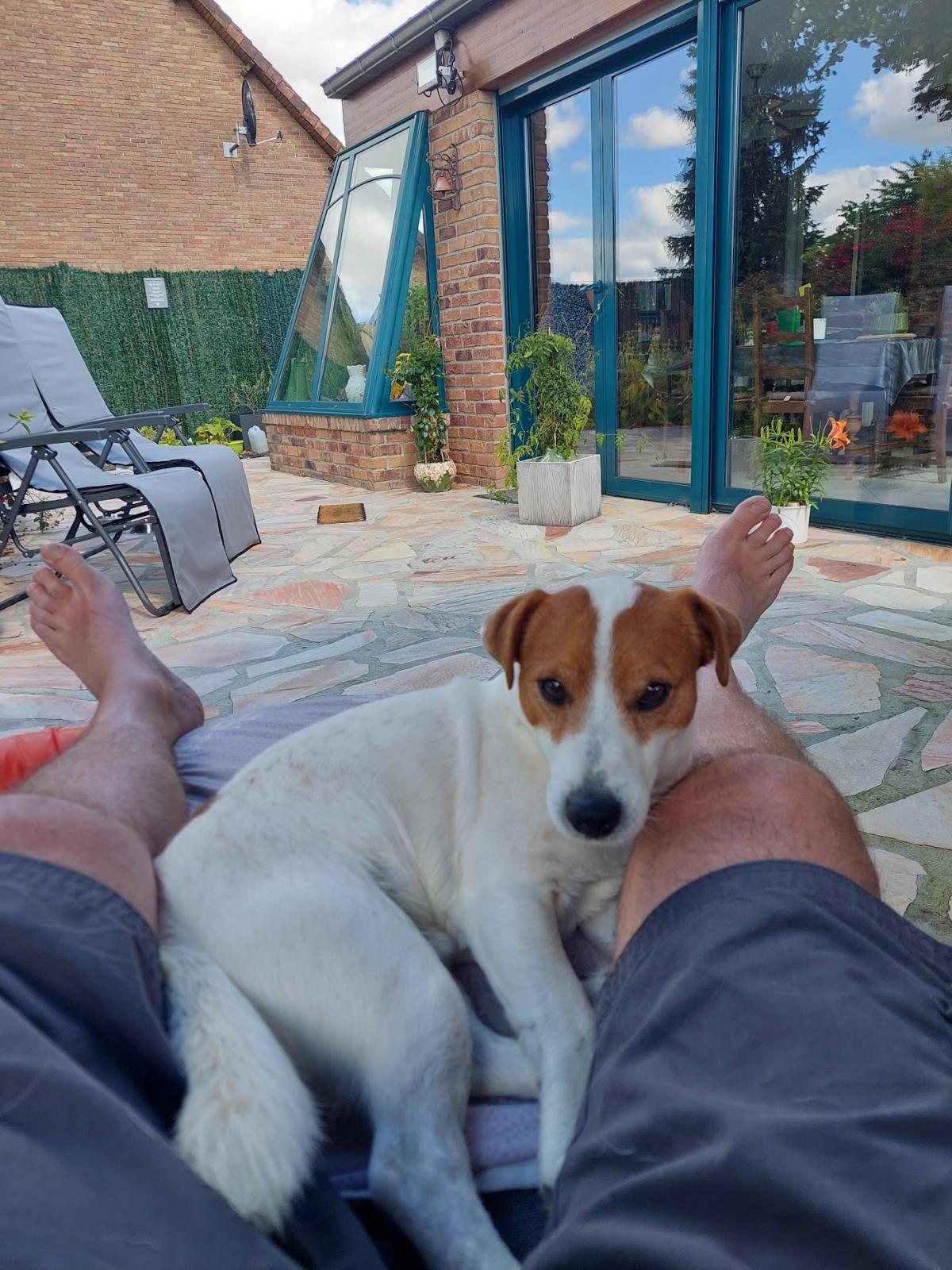 Cabinet vétérinaire Letouche Alain