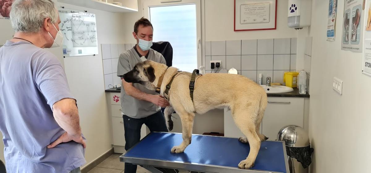 Clinique Vétérinaire des 4 Vallées
