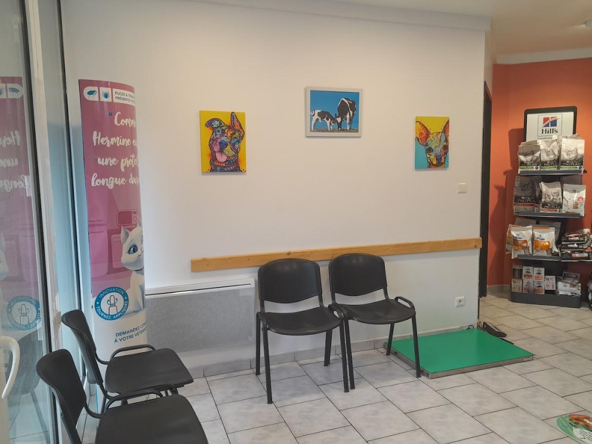 Clinique Veterinaire Vauban MASSARD - CATY - DUPIRE