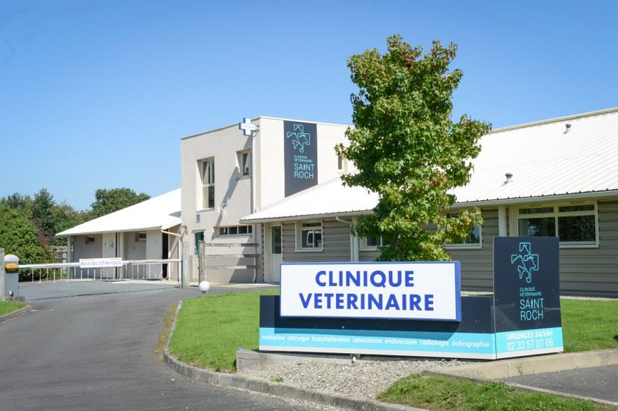 Clinique vétérinaire Saint Roch - CM VET ( Centre Manche Vétérinaires)