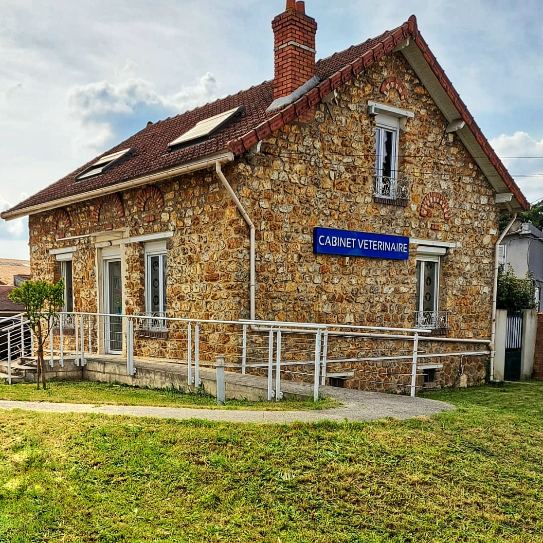 Clinique vétérinaire Chat-Perché.Vet - Pierrelaye