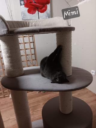 Vétérinaire Anne et Pattes 0