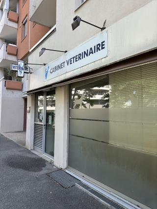 Vétérinaire Vétérinaire Villeurbanne - Cabinet du 4 Août - Dr Marien 0
