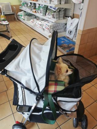 Vétérinaire Godelle Christophe 0