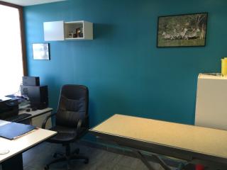 Vétérinaire Clinique Vétérinaire Michelet Drs Verleene Berger Tehhani 0