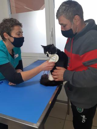 Vétérinaire Clinique Vétérinaire des Arcades - Toketa Manu 0