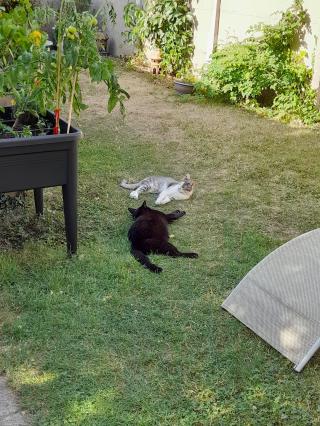 Vétérinaire Cabinet vétérinaire TAVIVET 2