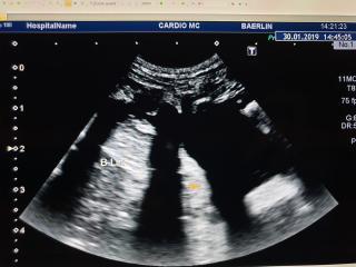 Vétérinaire Clinique Vétérinaire Kaiser 0