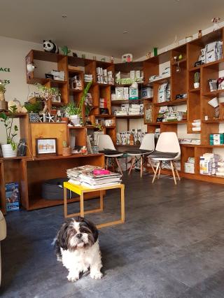 Vétérinaire Clinique Vétérinaire Amivet des Drs. David Pelois et Stéphane Maquinay 0