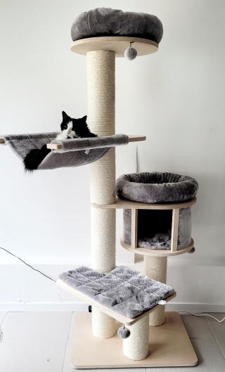 Vétérinaire Le Nid du Rocher 0