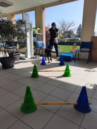 Vétérinaire Okivét - Clinique vétérinaire du Chêne Saint Céré 0