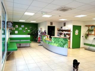 Vétérinaire Véronique Dulière 1